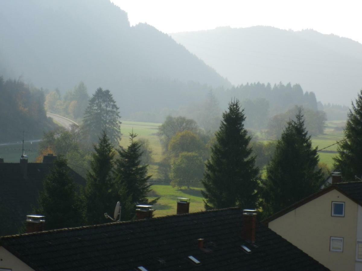 Urseetalblick Wg 7 Apartman Lenzkirch Kültér fotó